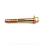 Bolt M8 x 55 - FB108111L